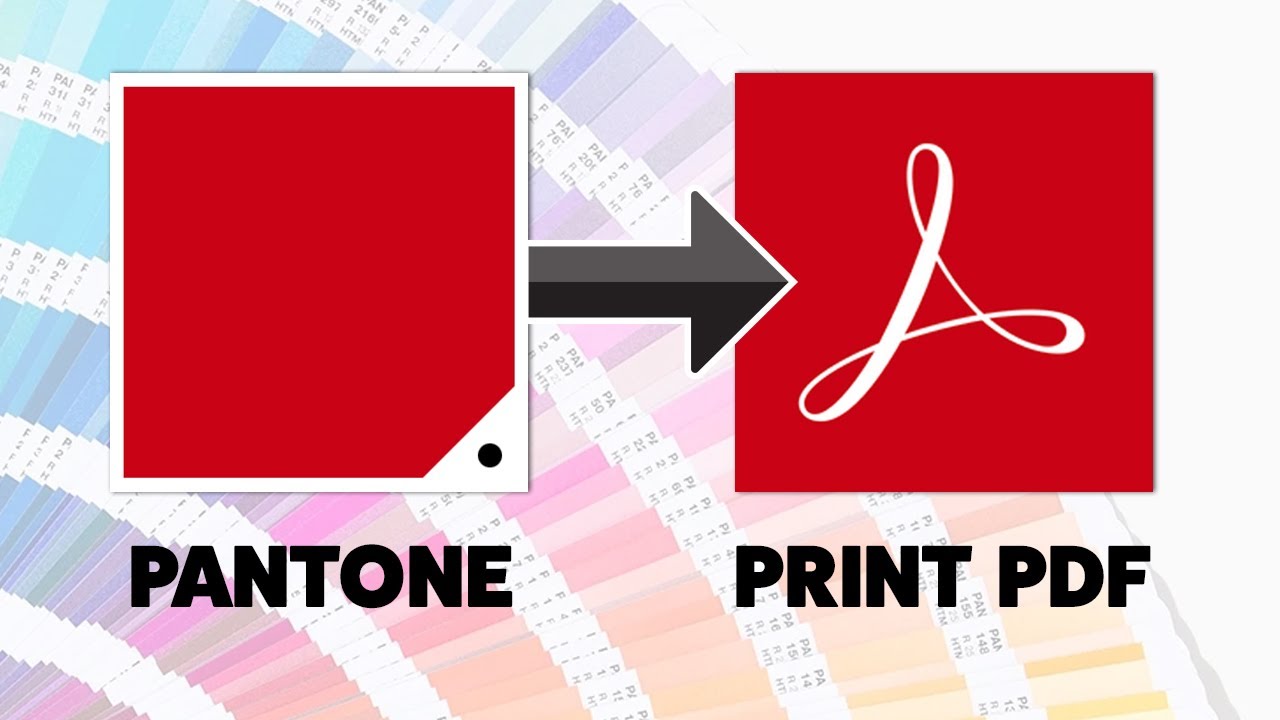 How to Export Pantone Spot Colours to PDF for Print in Adobe Illustrator 