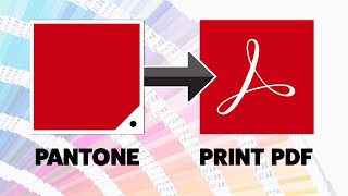 How to Export Pantone Spot Colours to PDF for Print in Adobe Illustrator