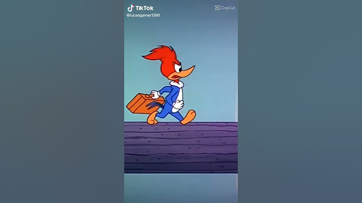123 flamengo