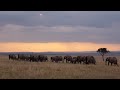 Sanctuary And The Beauty Of Africa Wild Kenya 2024 Highlights Sanctuary And The Beauty Of Africa Wild Kenya 2024 Highlights