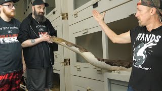 Celebrity FULL - How we REALLY feed our giant snakes - Kevin yells at staff, feelings are hurt Net Worth