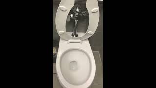 82. 2019 Zurn Toilet At Target