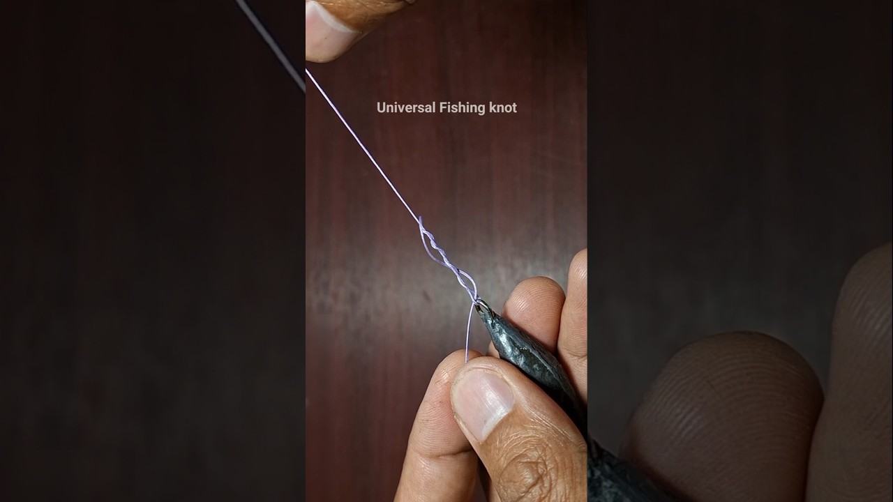 Easy tips for fishing v174 