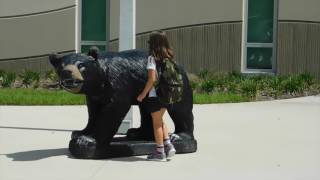 Clay Springs Parking