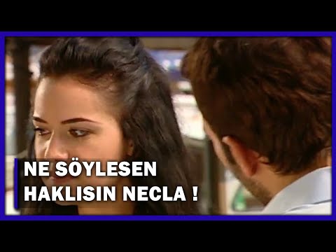 Ne Söylesen Haklısın Necla! - Yaprak Dökümü 40.Bölüm