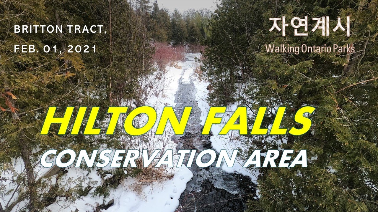 Hilton Falls Conservation Area, #5, [2021.02.01] - YouTube