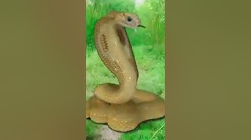 इच्छाधारी नागिन मां और बेटी की कहानी 🐍#shorts #youtubeshorts #emotional #snake #nagin #bhakti part 5