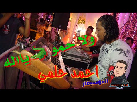 مزمار التمساح احمد حلمي ابو تريكه حظ افراح شعبي جديد