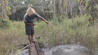 HATI-HATI!! DI SELA-SELA SEMAK ADA PREDATOR KELAPARAN YANG KAPAN SAJA SIAP MEMANGSA