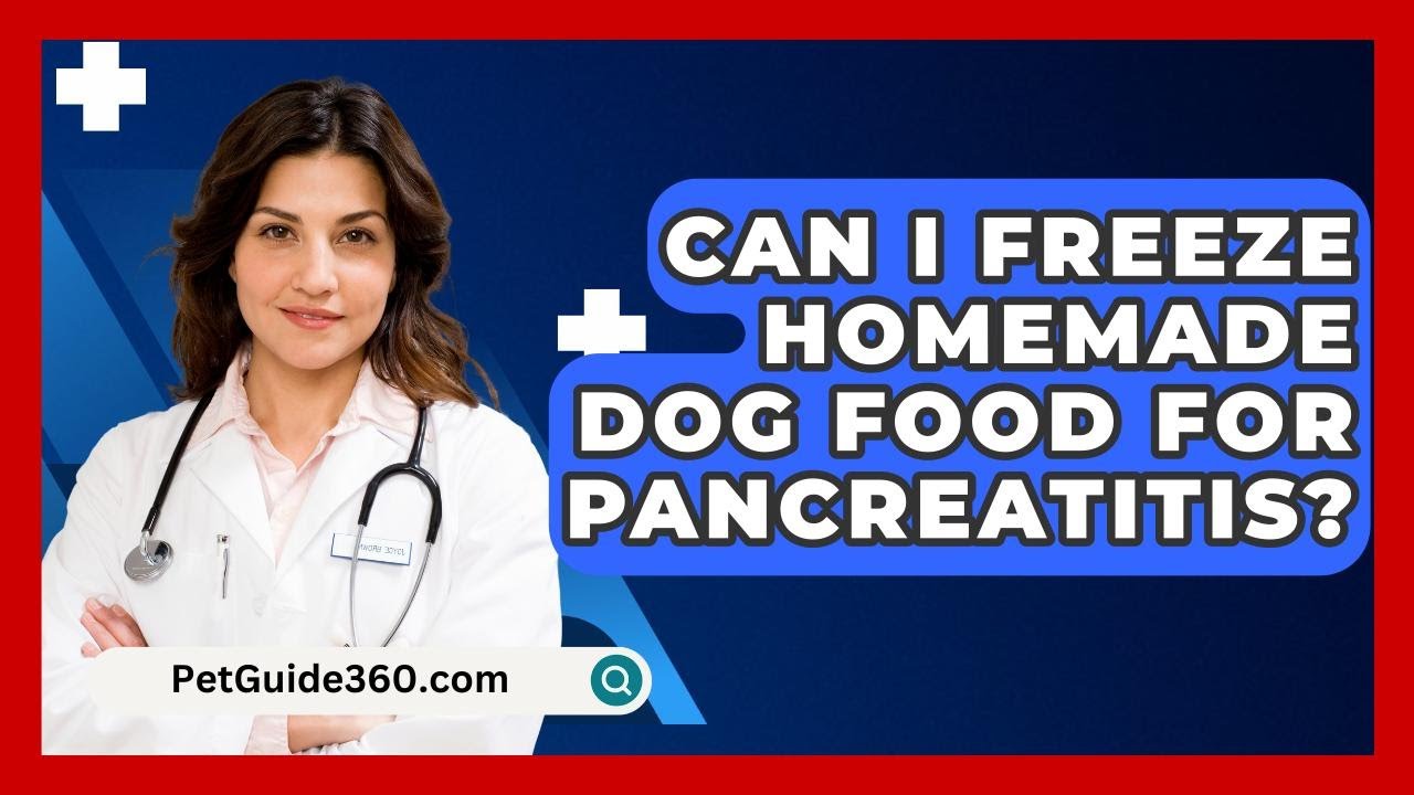 Can I Freeze Homemade Dog Food For Pancreatitis? - PetGuide360.com