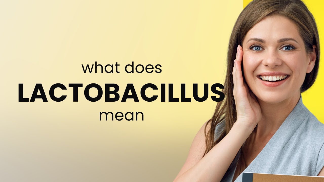 Lactobacillus • meaning of LACTOBACILLUS YouTube