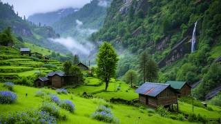 Calm Your Nervous System 🌿 Relaxing Music to Ease Anxiety & Quiet the Mind #8 screenshot 5