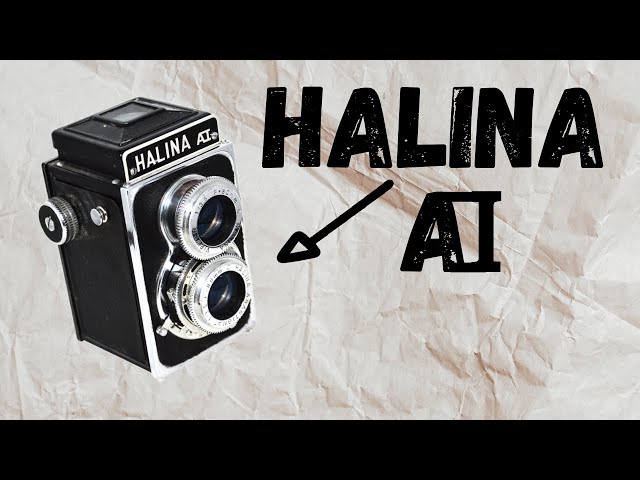 Appareil Photo Halina 1600 Vintage Avec Son étui - Argentique