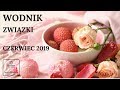 WODNIK - ZWIĄZKI - Czerwiec 2019