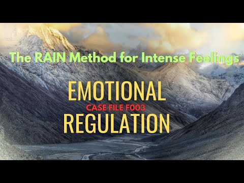 Case File F003: EMOTIONAL REGULATION - The RAIN Method for Intense Feelings