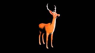 3D Graphics Software Engine - 3DMM Final Trailer 720p