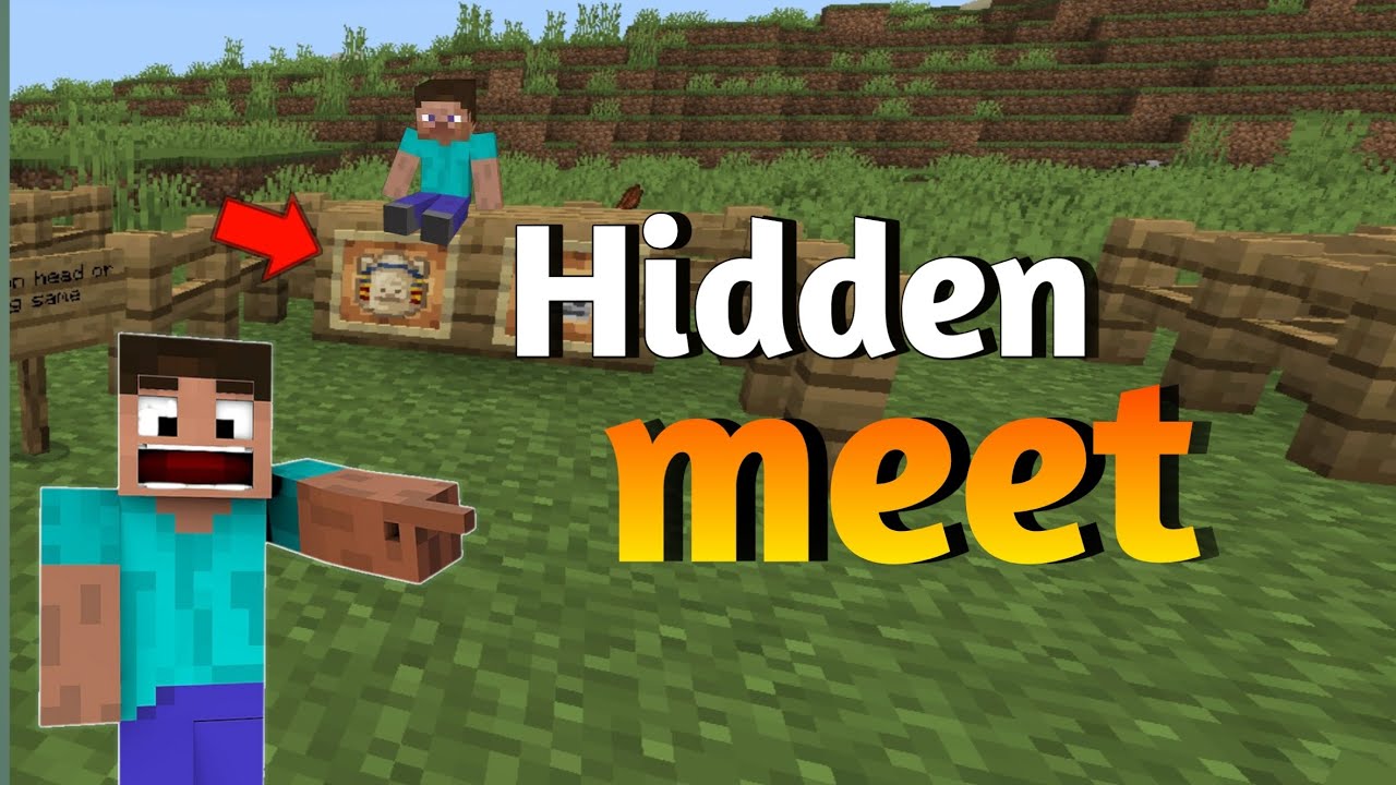 Minecraft hidden meat in Minecraft 00 pocket edition
