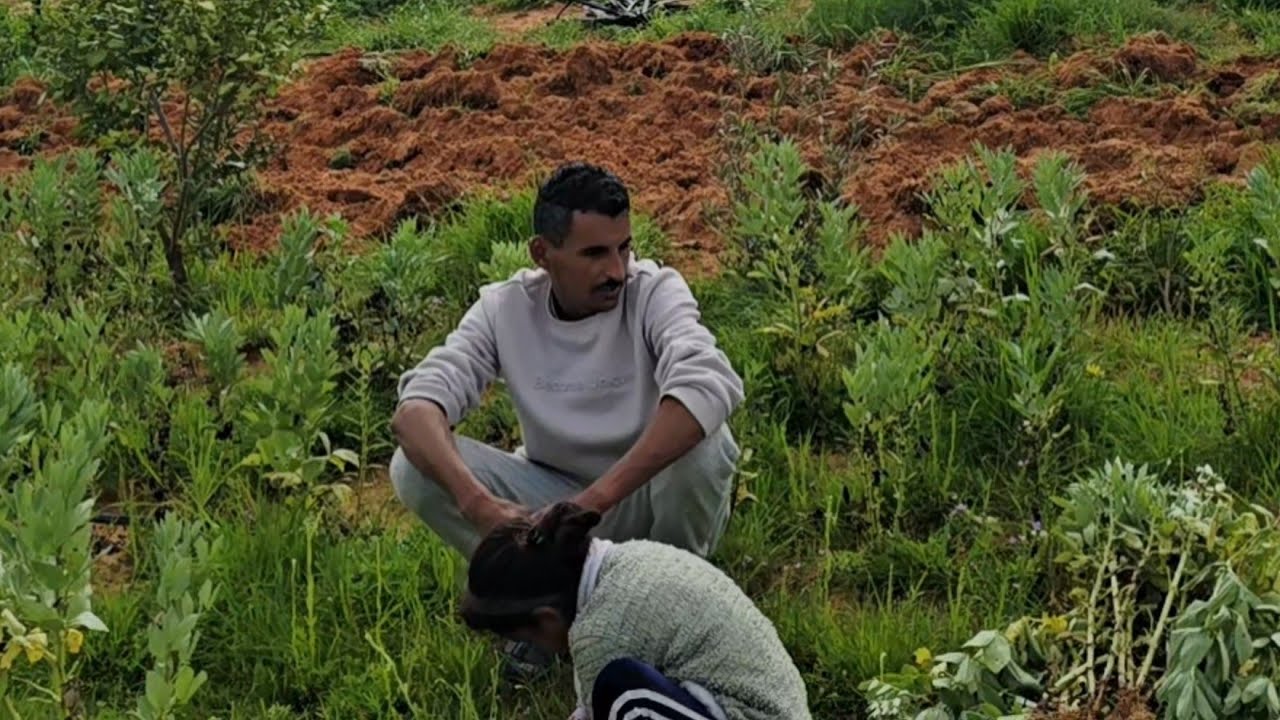 المزييت جدتي البايرة هاجوابك / ليندا السلاوي/ المشاغبة وأسيل والحرمان العاطفي  / الكشول أصبح حمارا