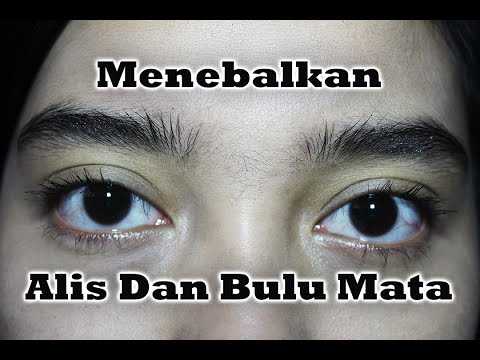 Video: 3 Cara Merawat Kutu Kening dan Bulu Mata