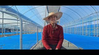 Preventing wilt disease in pepper fields is essential. Be sure to do so in the fall.