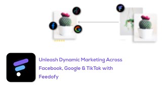 Feedofy – Your Ultimate Feed Automation Solution