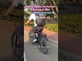 Find Your Perfect Mountain E-Bike 🚴‍♂️ | Stress-Free Riding in Any Weather &amp; Traffic