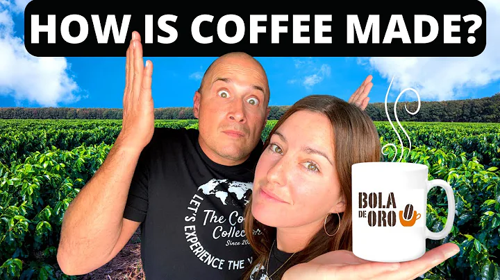 IT WILL SURPRISE YOU! Exploring the COFFEE CAPITAL...