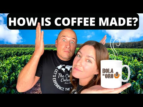 IT WILL SURPRISE YOU! Exploring the COFFEE CAPITAL of MEXICO! (Tour in Coatepec & Xico)