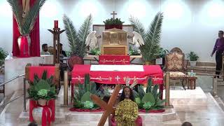 03/28/26: 5PM Vigil Mass - Palm Sunday of the Lord's Passion