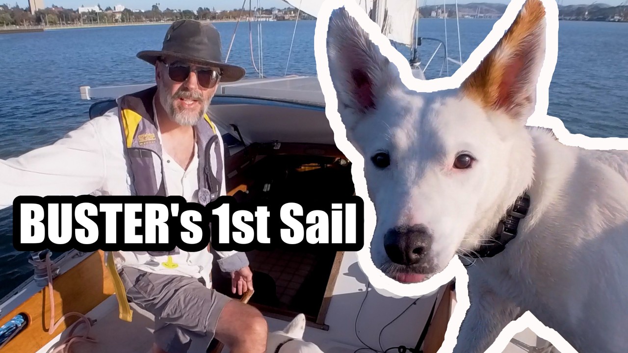 ⁣Sailing Solo With My Dog: Buster's First Real Trip