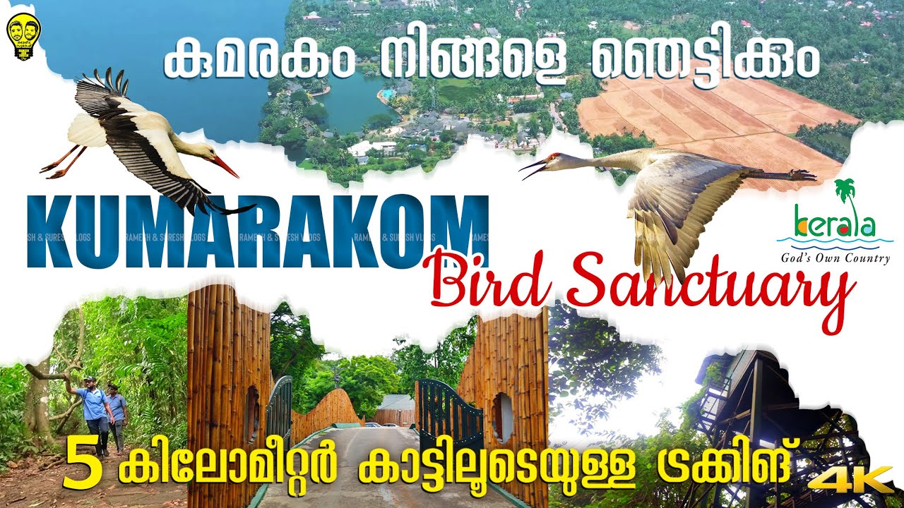 കുമരകം പക്ഷി സങ്കേതം🦅🦤 Kumarakom Bird Sanctuary in Kottayam, Kerala Tourism | Ramesh & Suresh Vlogs