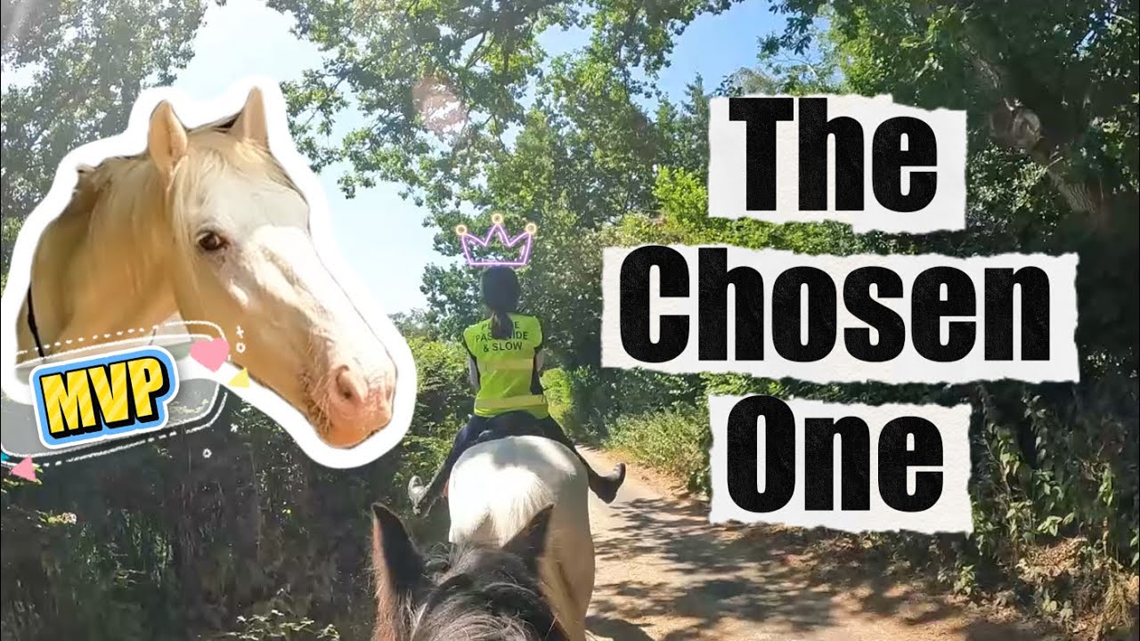#42 Horseback Forest Ride | Horses vs. New Road Sign