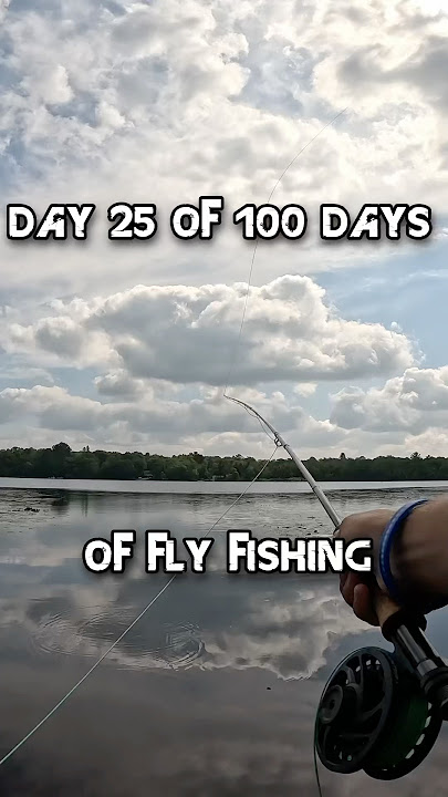Day 25 Of A 100 Days Of Fly Fishing! #fishing #flyfishing #shorts #fyp #flytying #bluegill