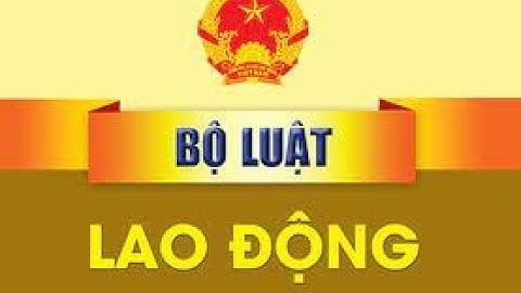 Phụ lục hợp đồng lao động tiếng anh là gì năm 2024