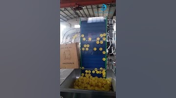 Automatic cap elevator type sorting feeding machine plastic big diameter cap sorter machine