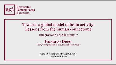 Towards a global model of brain activity