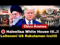 Oduu Ammee Haleellaa White House Loltoonni US Rukutaman Iccitii Iran Oduu Ammee Haleellaa White House Loltoonni US Rukutaman Iccitii Iran