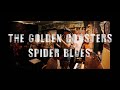 The golden coasters  spider blues live bam jam
