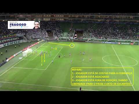 Em câmera aberta! Nível de concentração ajudou o Palmeiras a vencer o Bahia