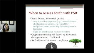 Assessment of Problematic Sexual Behavior in Children What, When, and How