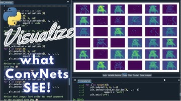 #Python | Visualize what ConvNets see! 🐶 | #Convolutional #Tensorflow #DataVisualization
