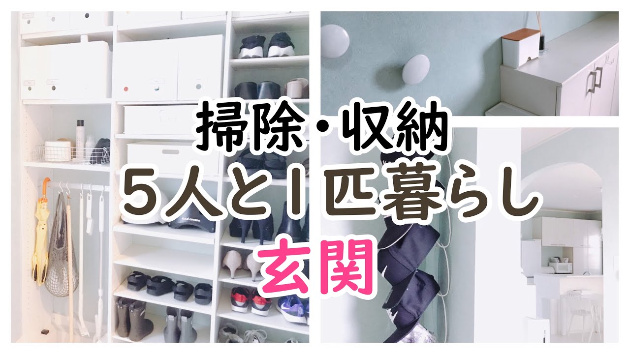 クローゼット収納 狭い折戸の中を使いやすく片付け スッキリ有効活用 Youtube