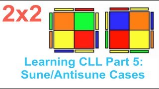 Learning CLL Part 5: Sune/Antisune Cases (2x2) (HD)