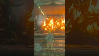 Rabella Wetlands Tower Puzzle Tears Of The Kingdom