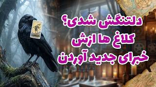 شراره تاروت کوچینگ - دلتنگش شدی؟ کلاغ ها ازش خبرای جدید آوردن