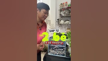 Tốn, có 50 ngàn, mà được 1 bé lóc vảy rồng 5-7 xăn ti #aquarium #locvietminhtri