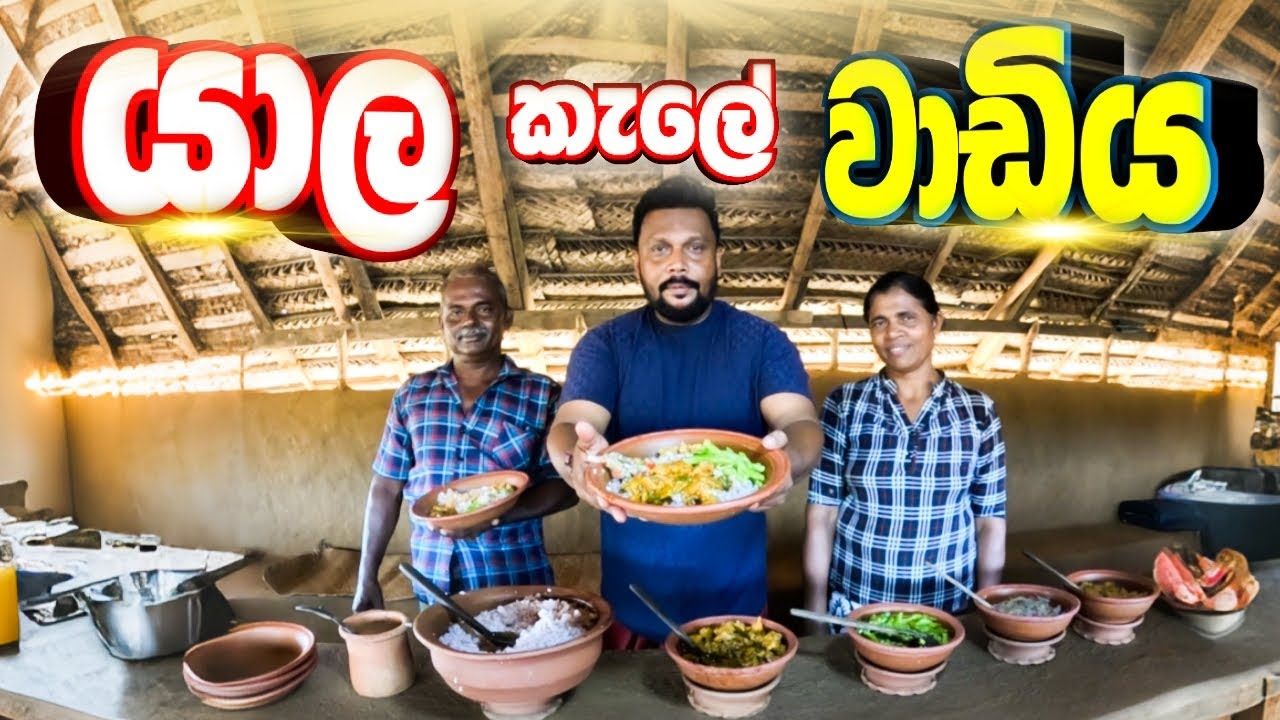 යාල කැලේ  සුන්දර වාඩියේ ගෙවුණු දවස 😊🐘| @travelwithsidney | Vlog 52