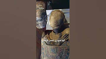قصة المومياء المصرية مجهولة الهوية في فرنسا 