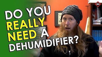 Can You Save Money Without a Dehumidifier?