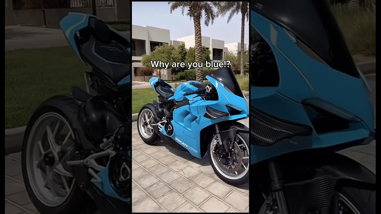 Редчайший цвет Ducati? 😅👀 